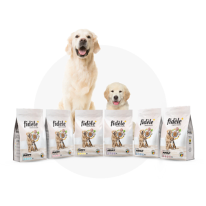 Why Fidele Image 1080x