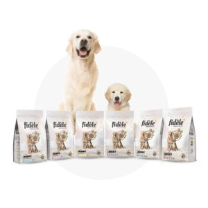 Why Fidele Image 1080x