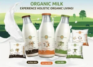 Experience the rich taste of Organic Mantra's farm-fresh milk with a FREE sample! Immerse yourself in the goodness of organic, straight from our farm to your doorstep